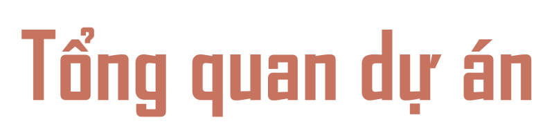 Nội dung tổng quan